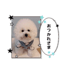 Mintでお仕事・パパ用スタンプ（個別スタンプ：9）