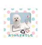 Mintでお仕事・パパ用スタンプ（個別スタンプ：10）