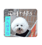 Mintでお仕事・パパ用スタンプ（個別スタンプ：11）