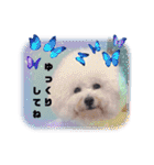 Mintでお仕事・パパ用スタンプ（個別スタンプ：27）
