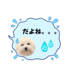 Mintでお仕事・パパ用スタンプ（個別スタンプ：30）