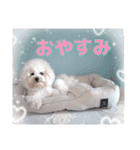 Mintでお仕事・パパ用スタンプ（個別スタンプ：36）