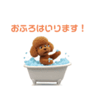 かわいいトイプードルの日常スタンプです。（個別スタンプ：10）