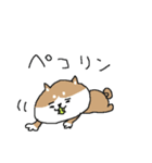 まんまる柴犬！（個別スタンプ：11）