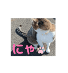 オメガ3のあいさつ（個別スタンプ：7）