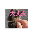 オメガ3のあいさつ（個別スタンプ：8）
