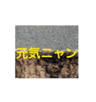 オメガ3のあいさつ（個別スタンプ：9）