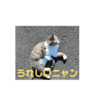 オメガ3のあいさつ（個別スタンプ：10）