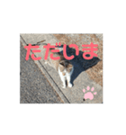 オメガ3のあいさつ（個別スタンプ：11）
