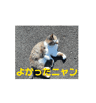 オメガ3のあいさつ（個別スタンプ：14）