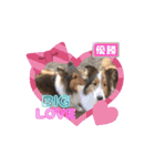 わたしの愛犬ちゃんたち（個別スタンプ：4）