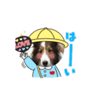 わたしの愛犬ちゃんたち（個別スタンプ：8）