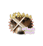 わたしの愛犬ちゃんたち（個別スタンプ：12）