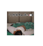 動くせな1（個別スタンプ：8）