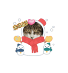 さんねこすたんぷpart1（個別スタンプ：3）