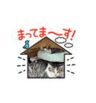 さんねこすたんぷpart1（個別スタンプ：16）