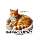 岡山弁をしゃべる猫（個別スタンプ：11）