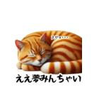 岡山弁をしゃべる猫（個別スタンプ：12）