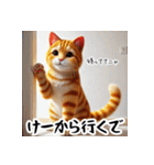 岡山弁をしゃべる猫（個別スタンプ：37）