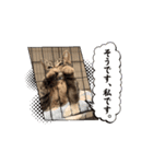 王様みるくの動くスタンプ（個別スタンプ：1）