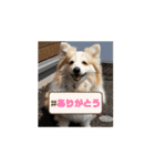MAYとSANTOのスペシャルスタンプ（個別スタンプ：4）