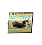 MAYとSANTOのスペシャルスタンプ（個別スタンプ：8）