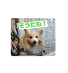 MAYとSANTOのスペシャルスタンプ（個別スタンプ：10）