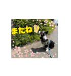 MAYとSANTOのスペシャルスタンプ（個別スタンプ：11）