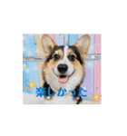 MAYとSANTOのスペシャルスタンプ（個別スタンプ：14）