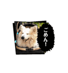 MAYとSANTOのスペシャルスタンプ（個別スタンプ：15）