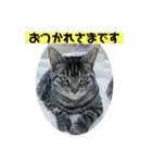 しろねことその姉妹（個別スタンプ：5）