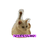 しろねことその姉妹（個別スタンプ：13）
