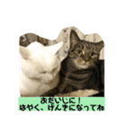 しろねことその姉妹（個別スタンプ：20）