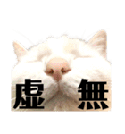 しまゆきコロン日和（個別スタンプ：13）
