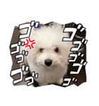 僕、てんくん（個別スタンプ：6）