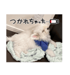 僕、てんくん（個別スタンプ：8）