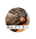 さくらんマン（個別スタンプ：34）