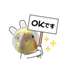 まめろーとまさはるスタンプ（個別スタンプ：4）