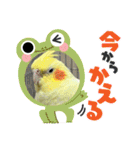 まめろーとまさはるスタンプ（個別スタンプ：7）