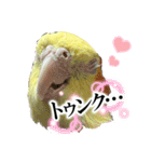 まめろーとまさはるスタンプ（個別スタンプ：8）