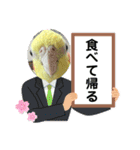 まめろーとまさはるスタンプ（個別スタンプ：10）