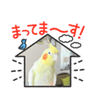 まめろーとまさはるスタンプ（個別スタンプ：11）