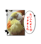 まめろーとまさはるスタンプ（個別スタンプ：13）
