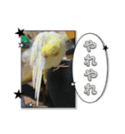まめろーとまさはるスタンプ（個別スタンプ：17）