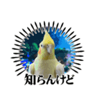 まめろーとまさはるスタンプ（個別スタンプ：18）