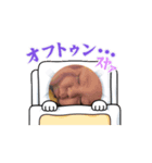 あいるき（個別スタンプ：8）