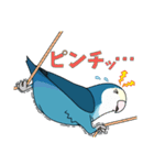 コザクラインコ好きスタンプ2 ブルー系Ver.（個別スタンプ：2）