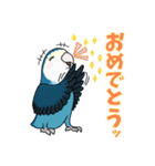 コザクラインコ好きスタンプ2 ブルー系Ver.（個別スタンプ：3）