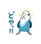 コザクラインコ好きスタンプ2 ブルー系Ver.（個別スタンプ：4）
