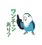 コザクラインコ好きスタンプ2 ブルー系Ver.（個別スタンプ：5）
